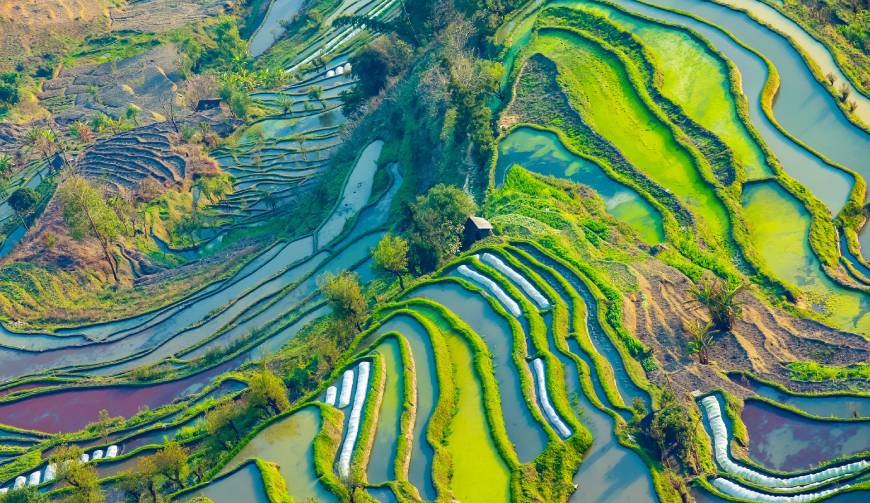 宝妈必备神器：双桥区产品视频拍摄轻松育儿好帮手